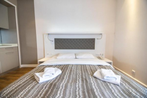 Luxurious Apartment in Alliance Palace